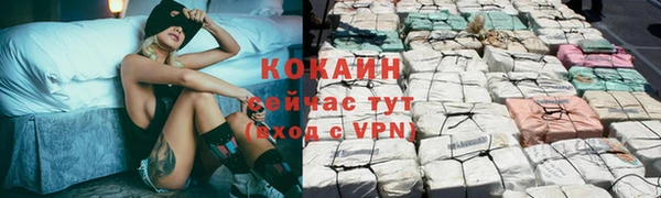 бошки Кулебаки