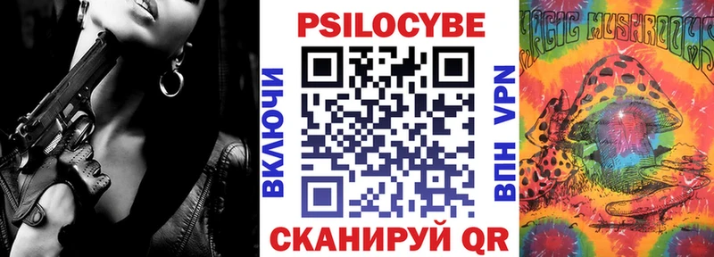 где найти   Чаплыгин  Псилоцибиновые грибы мицелий 