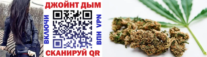 Бошки Шишки ГИДРОПОН  Чаплыгин 